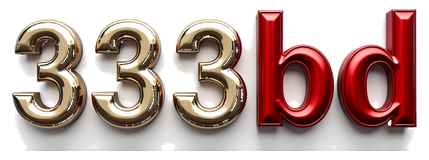 3333bd logo